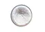 Soybean Peptide Powder